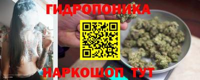 PSILOCYBIN Бугуруслан