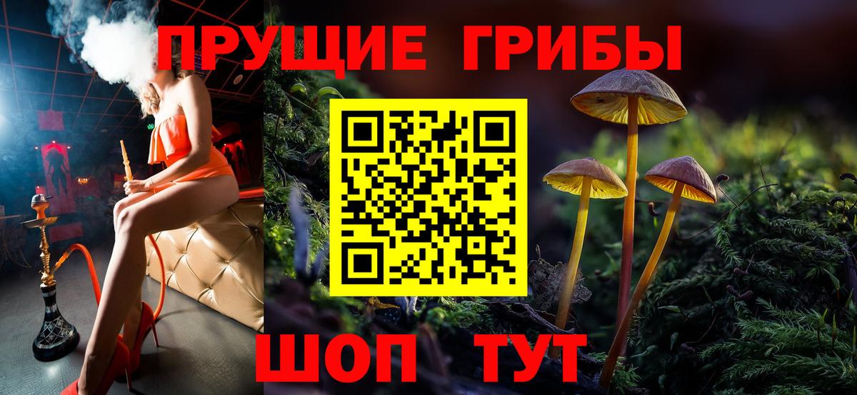 Сокол  наркотики  Вход с VPN  Галлюциногенные грибы Psilocybe 